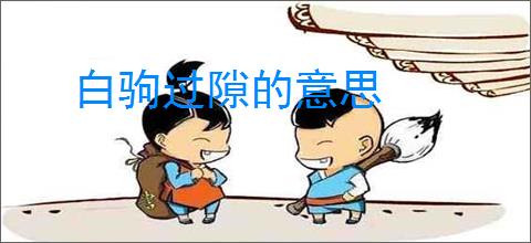 白驹过隙的意思