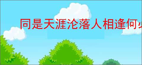 同是天涯沦落人相逢何必曾相识
