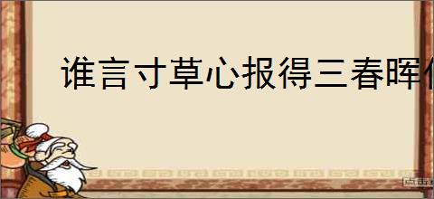 谁言寸草心报得三春晖什么意思